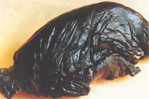 晚清鸦片价格昂贵，穷人是如何买得起的