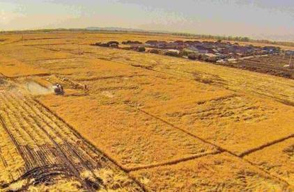 隋朝设立这么多的粮仓 为什么没有为百姓开放呢