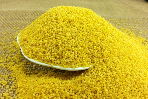 宋朝士兵宁愿饿死都不吃小米，这是为什么