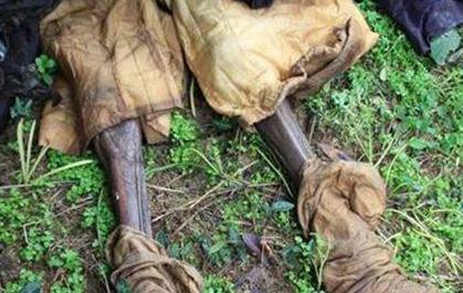 慈禧口中的夜明珠到底去了哪里 现在在什么地方呢