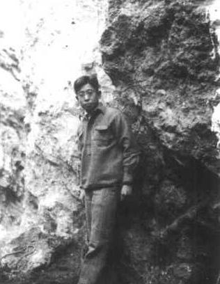 关于贾兰坡的评价是怎样的