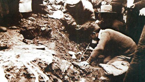 关于贾兰坡的评价是怎样的