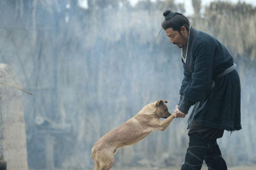 项羽封了很多诸侯王，为什么没人帮他