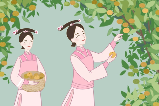 秀女进宫后的生活是怎么样的