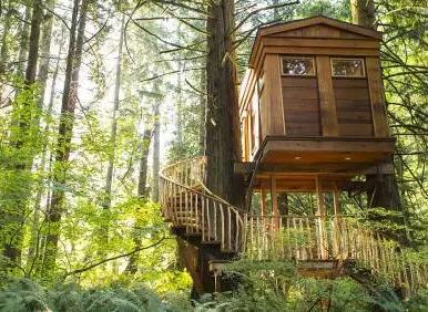 古代男女新婚之夜为什么叫“洞房”