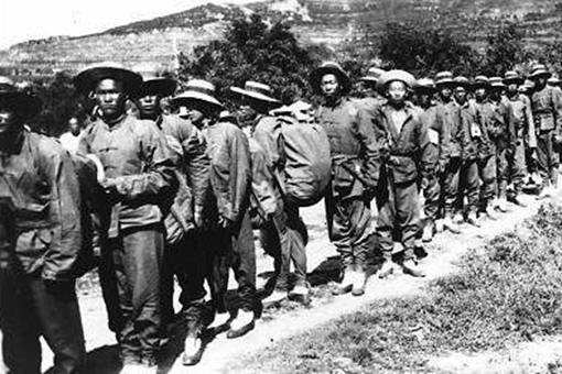 下南洋卖猪仔是怎么悲惨的故事