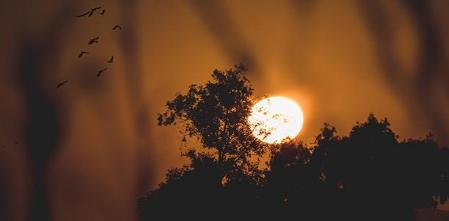 列子是道教四大真人之一竟然能御风而行 他是怎么修炼而成的