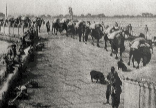 赵尔陆授衔上将之后便不愿意再穿军装, 为什么子女穿军装他也不开心