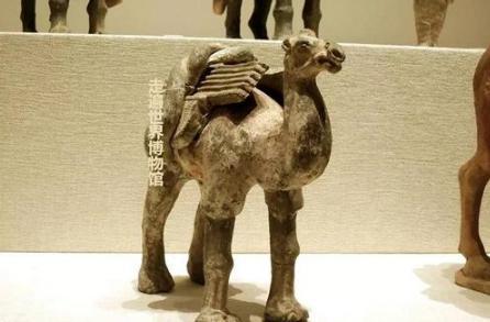 古代中国没有骆驼，唐三彩为什么有很多马和骆驼