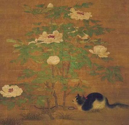 猫是怎么一步步变成宠物的