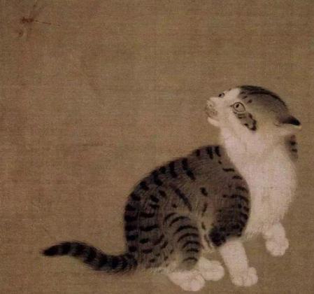 猫是怎么一步步变成宠物的