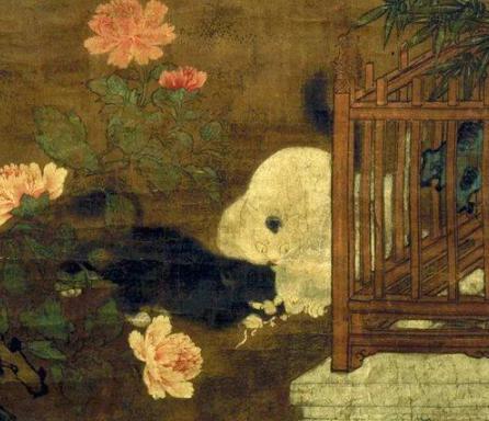 猫是怎么一步步变成宠物的