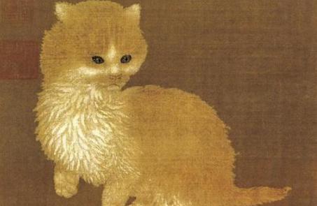 猫是怎么一步步变成宠物的