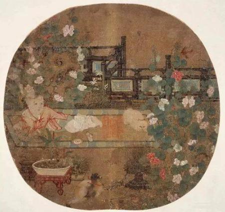 猫是怎么一步步变成宠物的