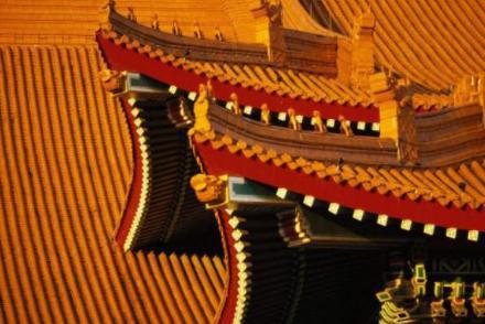 故宫为什么鸟敢拉屎呢 这里面到底有什么科学依据呢