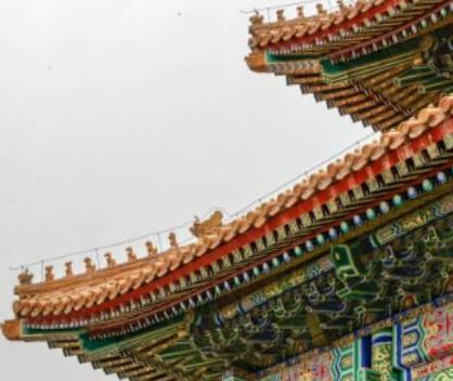 故宫为什么鸟敢拉屎呢 这里面到底有什么科学依据呢