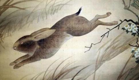 兔子在古代是怎样的一种的存在