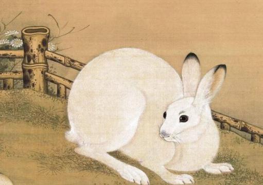 兔子在古代是怎样的一种的存在