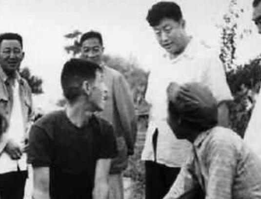 杨宗胜的生平如何