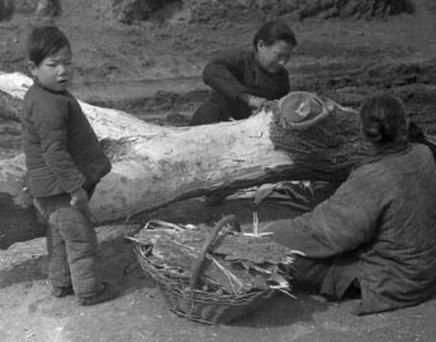 古代天灾为什么百姓不去抓鱼吃呢 你要是在当时也不会娶抓鱼的