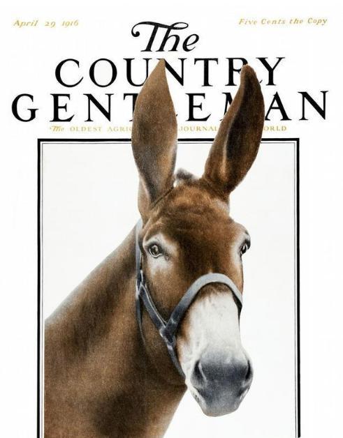 为什么唐朝骑驴很丢人