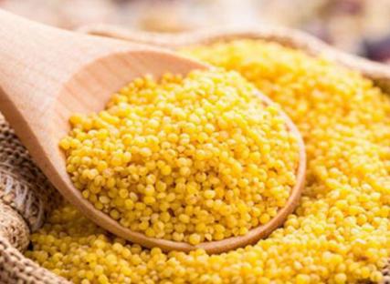 古代骑兵这么的厉害 为什么历代的朝廷都没有大力发展呢