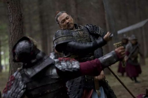 沙丘之乱给赵国造成了什么损失，赵武灵王为什么被饿死