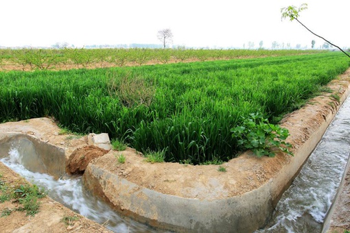 秦国是怎么察觉郑国渠是一个疲秦计的？