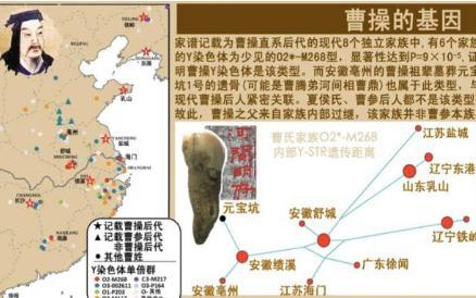 揭秘曹操姓夏侯之谜 为什么有这种所谓的姓夏侯说法呢