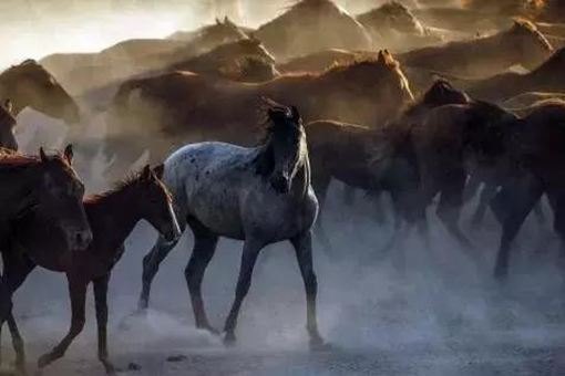 为什么说周孝王对秦国的建立有功？