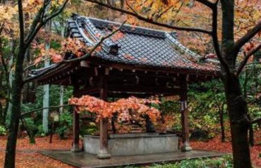 西田几多郎有着怎样的哲学造诣