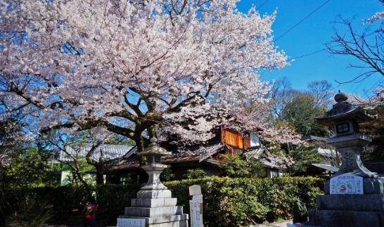 西田几多郎有着怎样的哲学造诣