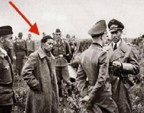 斯大林为什么不去救雅科夫 不救他的原因是什么