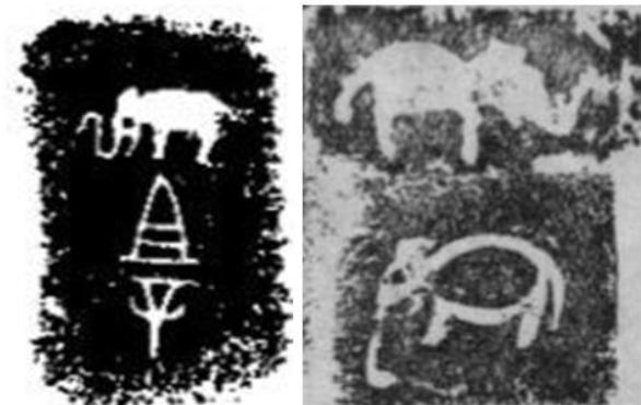 中国中原地区没大象,那象棋中的象是怎么来的