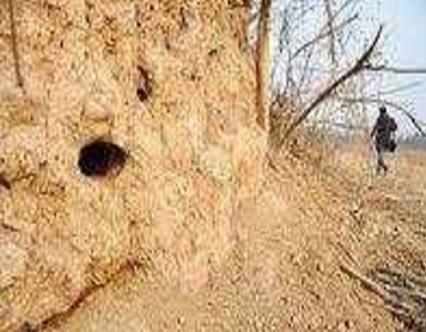 古人明明知道厚葬就有可能被盗 为什么还有这么多人喜欢厚葬呢