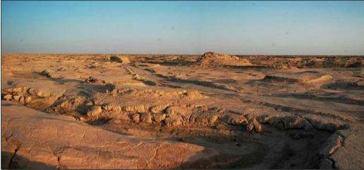 科学家彭加木是怎么消失的