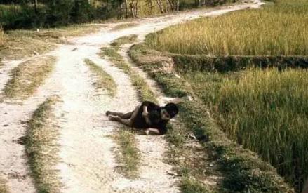 美莱村惨案的具体经过是怎样的