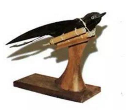 神火飞鸦到底是怎么使用的 爆炸的威力如何