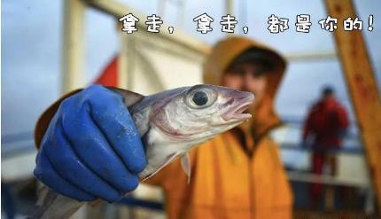 鳕鱼战争是怎么打响的 为什么欧洲人为何独宠鳕鱼呢