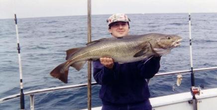 鳕鱼战争是怎么打响的 为什么欧洲人为何独宠鳕鱼呢