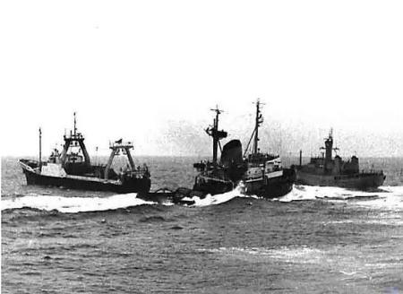 鳕鱼战争是怎么打响的 为什么欧洲人为何独宠鳕鱼呢