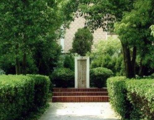 林心平受尽日军的36种酷刑，为什么最后还被大卸八块