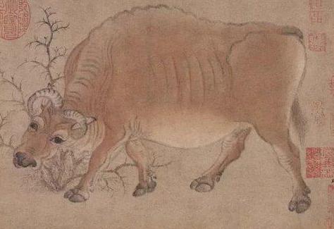 古代牛为什么会变成国宝 它在古代的地位如何