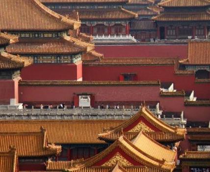 故宫为何要养这么多猫呢 为什么一养就持续了300年之久呢