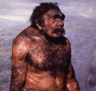 尼安德特人有着怎样的外貌特征