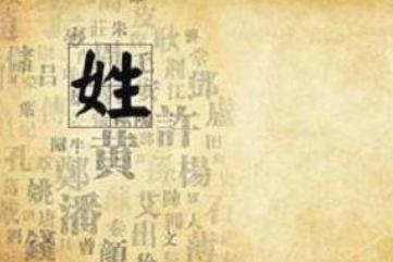 为什么除了南北朝时期的陈朝，历史上再没有以姓氏为国号的国家了?