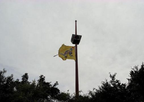 慈禧太后为什么会颁布黄龙旗当国旗