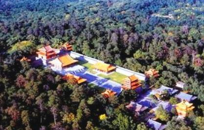 努尔哈赤为什么叫野猪皮呢 叫野猪皮的原因是什么