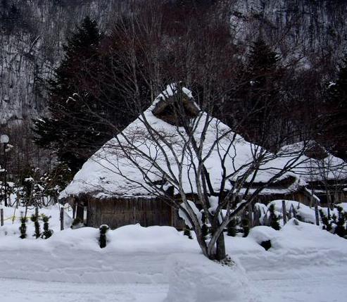 阿伊努的生活状况怎么样