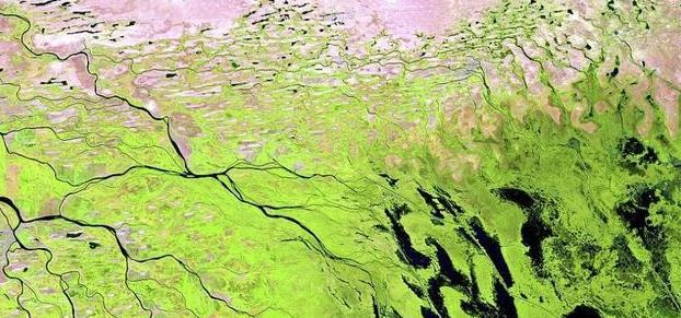 土尔扈特部为什么要东归